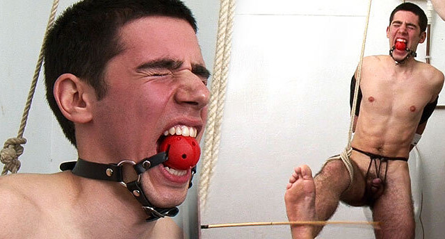 Straight Hell Videos